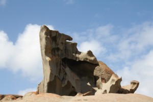 One of the Remarkable Rocks