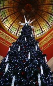 Christmas Tree Sydney